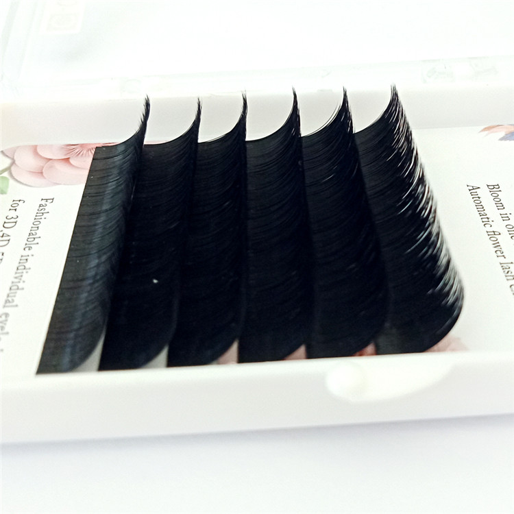 Eyelash Vendors Wholesale New Blooming Volume Eyelash PY1